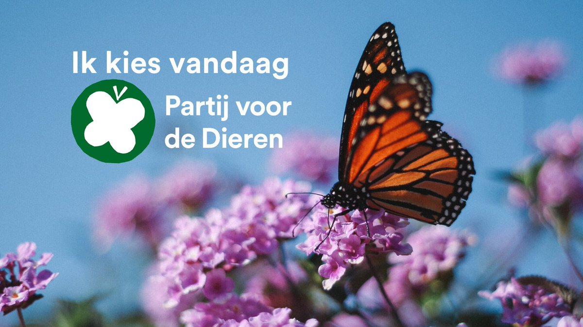 Retweet als je vandaag Partij voor de Dieren stemt! 💚💪🌍

#ikstem #PvdD #TK2021 #verkiezingen2021