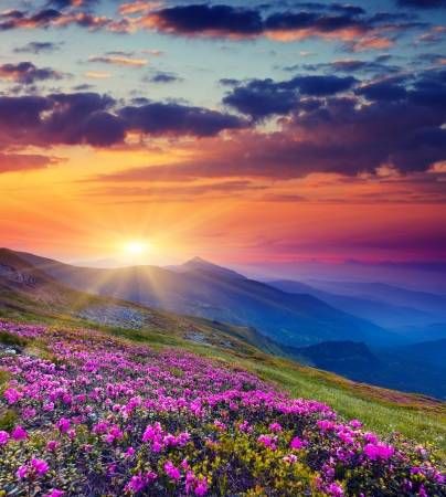 falchi04's tweet photo. @catfan57200 @rita_falchi @pacchitto @carmenjaratn @CristinaShonny Giornata multicolor per te per noi🎊🎉🤗 https://t.co/LC4D1t4eCA