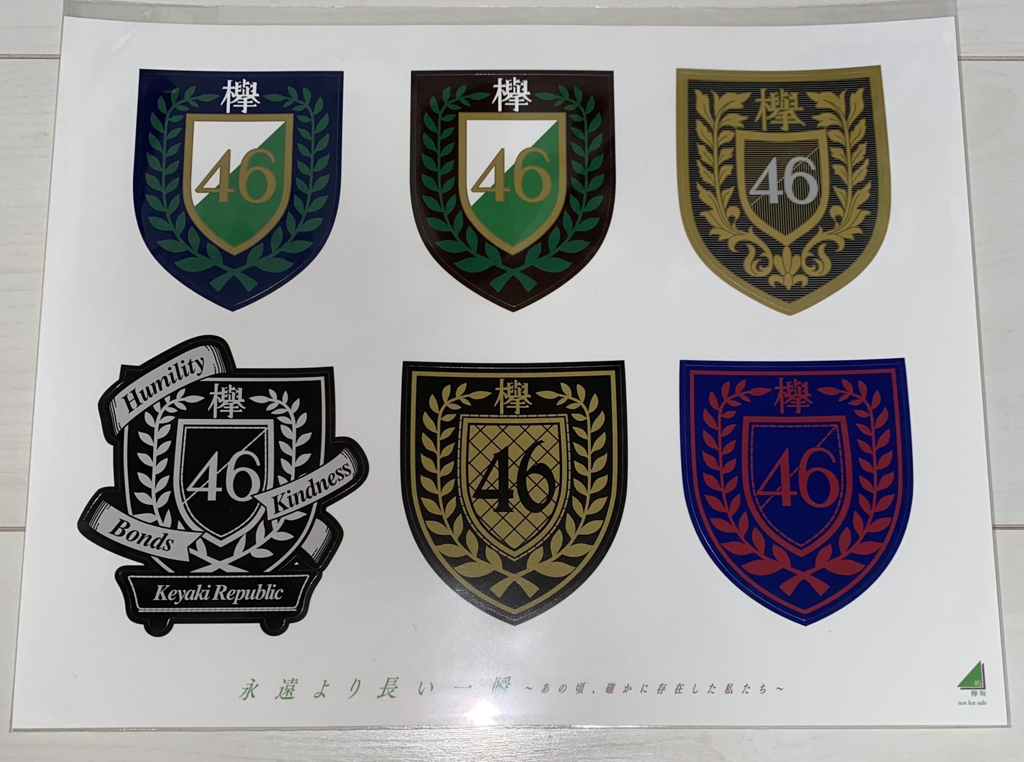 とーはや 在 Twitter 上 欅坂46のベストアルバムスペシャルプレゼント エンブレムワッペンとステッカーが当選してました オリジナルフレームと欅坂46の文字が刻まれていてめちゃくちゃかっこいいです 一生の宝物です 欅坂46 T Co Sgk4iqtdn9