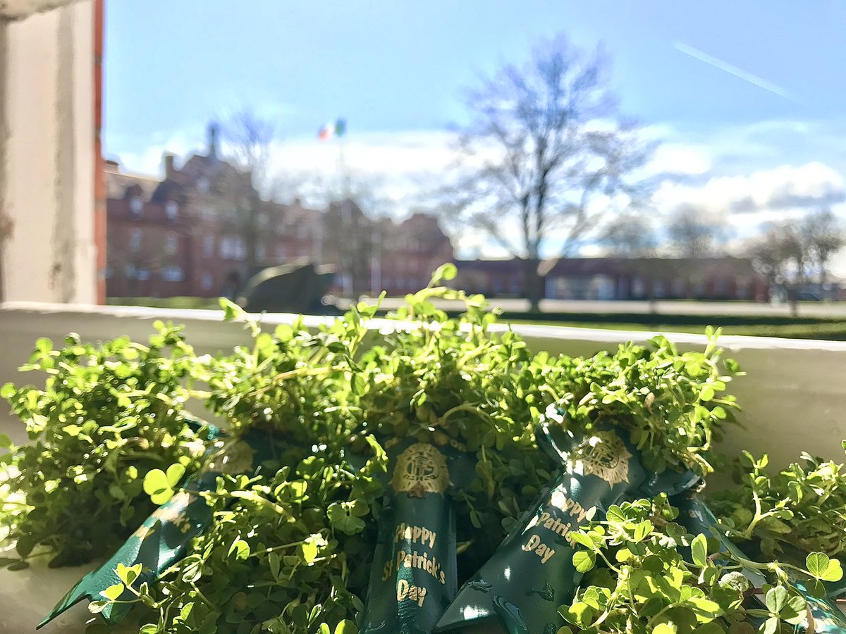 This morning we followed tradition and presented our men and women on duty with shamrock, symbolising our national pride ☘️ 

Happy #StPatricksDay everyone

#StrengthenTheNation