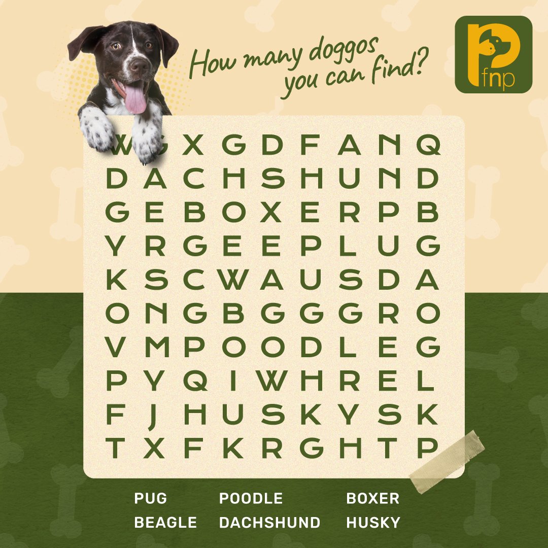 FNPPETS's tweet photo. Let’s see how the hooman fares on the doggo test! 😎

#pets #petsofindia #petsofindia #doggos #cattos #puzzle #quiz https://t.co/oEXLQop6b1