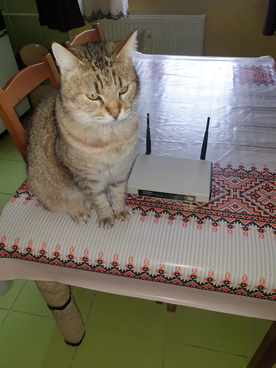 stere's tweet image. Hey @speedify - is this a better photo of an ancient router than the one before? It's the @TPLINK WR741ND from 2008. I keep it as a backup, just in case. They don't make'em like they used to... #uglyroutermadness