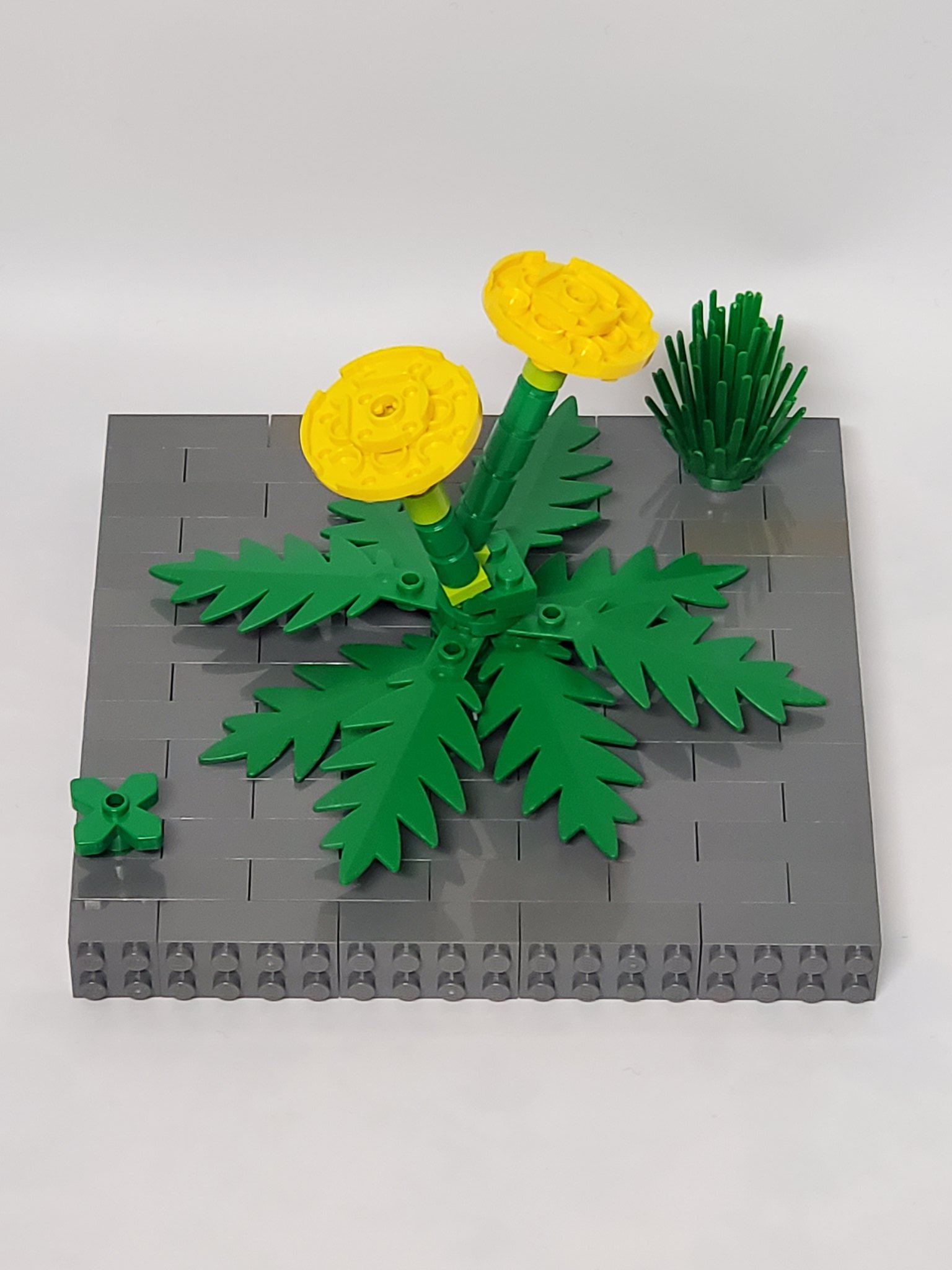 Studio Nokk 涙の数だけ強くなれるよ アスファルトに咲く花のように レゴでタンポポつくったよ レゴ Lego T Co Jvxjqua7cj Twitter
