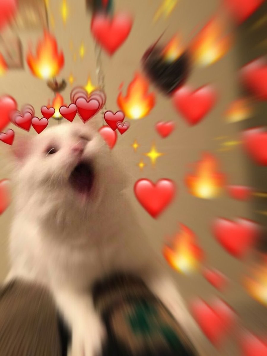 luolith's tweet image. I feel so much LOVE for all of my friends right now you’re all so cute I wanna yell !!