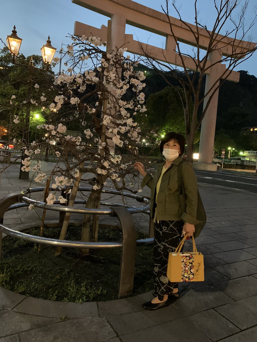 大石早苗 本日3 17 水 鹿児島も開花宣言桜 まだまだチラホラ咲 仕事帰りに偶然見つけた 枝垂れ桜 こちらも今年最初の夜桜 ぼんやり浮かびあがり きれいでした 仕立屋甚五郎って言う 和柄コーデの友達と 鹿児島 開花宣言 枝垂れ桜 夜桜 きれい 大石早苗 本日3 17 水 鹿児島も開花宣言桜 まだまだチラホラ咲 仕事帰りに偶然見つけた 枝垂れ桜 こちらも今年最初の夜桜 ぼんやり浮かびあがり きれいでした 仕立屋甚五郎って言う 和柄コーデの友達と 鹿児島 開花宣言 枝垂れ桜 夜桜 きれい