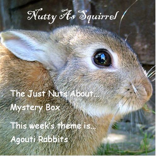as_nutty's tweet photo. Just Nuts About... Agouti Rabbits
This themed mystery box is for the rabbits human not the rabbit.
Limited stock, only 4 boxes available.
Be quick before they hop off!  🐇
Nutty As Squirrel
https://t.co/GgaAsNZewZ

#bunnylovers #mysterybox #letterboxgifts https://t.co/O1RmsFjTUt