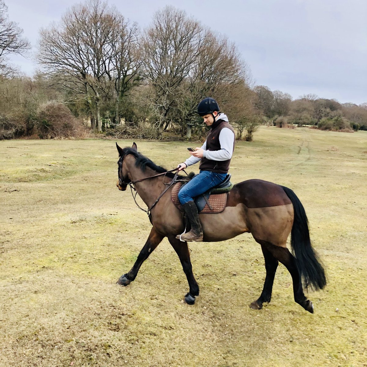 Miss_England88's tweet photo. When you go for a ride but #CheltenhamFestival is on and you need to get your bets on! #ITVRacing #Cheltenham2021 #exracehorse #CheltenhamFestival2021 https://t.co/r8Ve7u9R7u