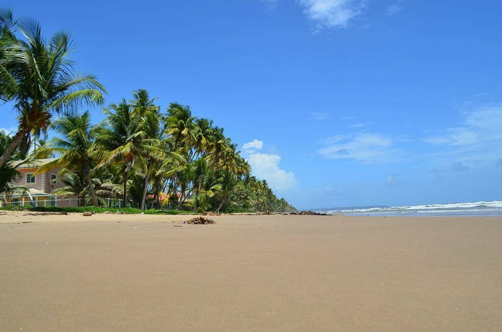 86ix8Family's tweet photo. Some days are just made for the beach! With clear bright skies, seems like a perfect day to get away! 😉 🏝
• Where’s your favorite getaway beach?
#86ix8Family
#868Beaches
#WeekdayGetaway
#TriniBeaches https://t.co/PJ0k2L7CEs https://t.co/ha9PdAvoRN