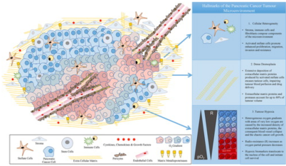 BJR_Radiology's tweet photo. #OpenAccess Review
3d tissue models as tools for radiotherapy screening for pancreatic cancer
https://t.co/52qnvuFOrV
#Radiology #RadOnc #Radiotherapy #Screening @Eirini_Velliou https://t.co/M6kdDhuUab