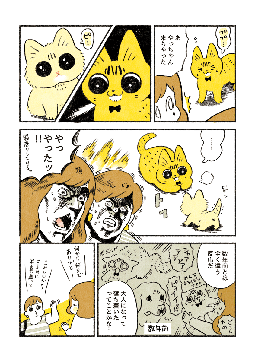 ちーちゃんのトライアル 