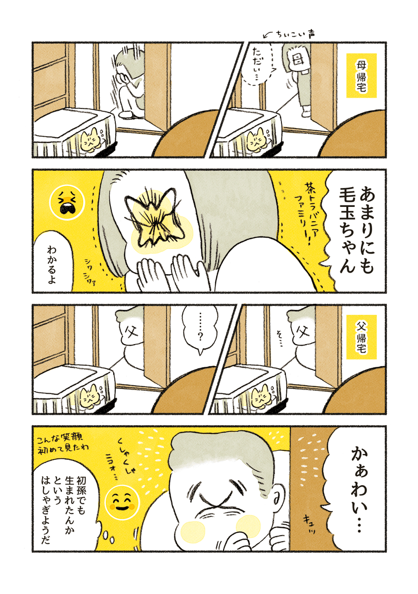 ちーちゃんのトライアル 