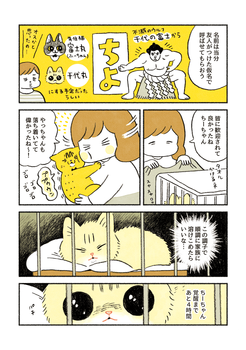 ちーちゃんのトライアル 