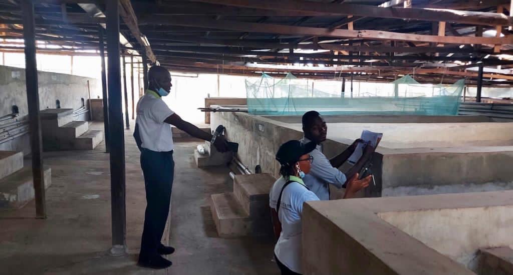 nirsalconnect's tweet photo. The election of farmer leaders, Farmland verification &amp; mapping, Field Suitability analysis and Inspection of an Anchors' facilities are important steps for the successful formation of a NIRSAL Agro Geo-Cooperative®️ (AGC). https://t.co/RVwbBxsgWK