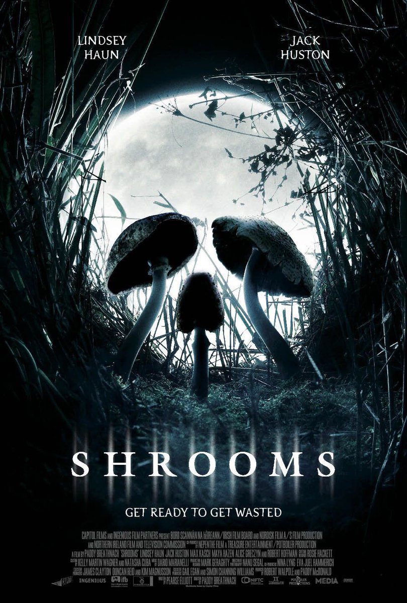 76. SHROOMS (2007)In honor of today, how about an Irish movie about indulging. Everyone gets thoroughly wasted in this movie. I don’t like to use the word “underrated” but I think this one is more fun than people care to admit.  #Horror365