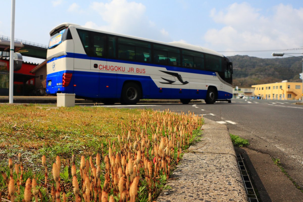Nimo5 Jp 21 3 14 島根県雲南市三刀屋町 下熊谷バスセンターに春が来とりますけん つくし 雲南市 島根県 高速バス Shimokumatani Bus Center Nimo5 Jp 21 3 14 島根県雲南市三刀屋町 下熊谷バスセンターに春が来とりますけん つくし 雲南市 島根県 高速バス Shimokumatani Bus Center