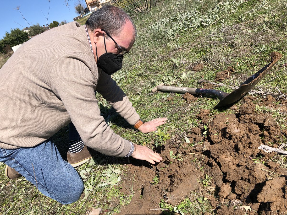 Viewnext tweet media