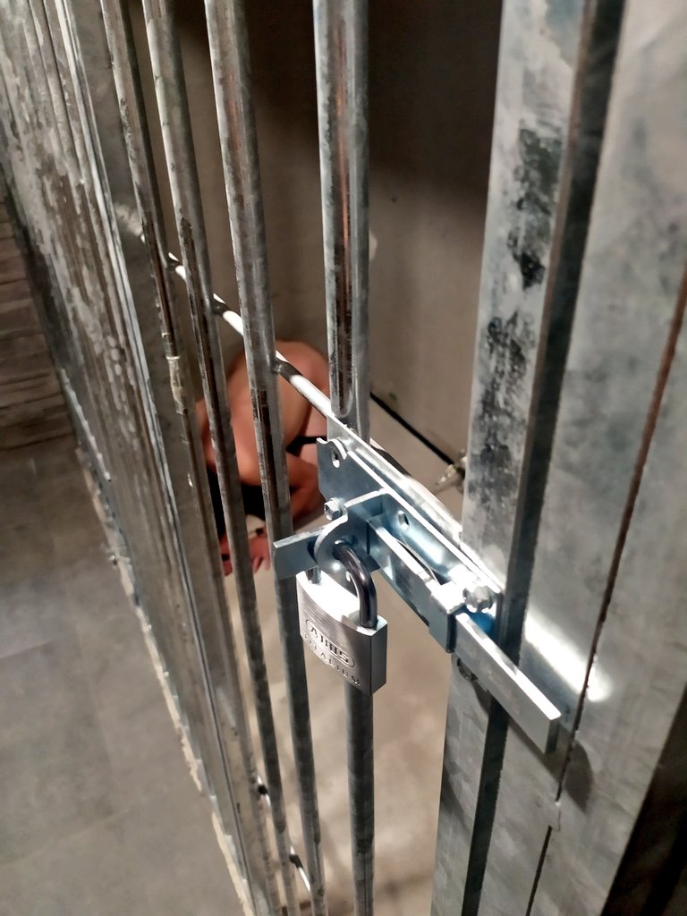 Herrin Lady Sarah tweet media