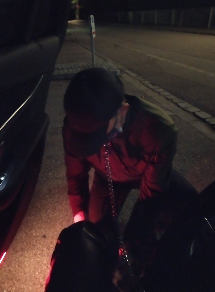 Herrin Lady Sarah tweet media