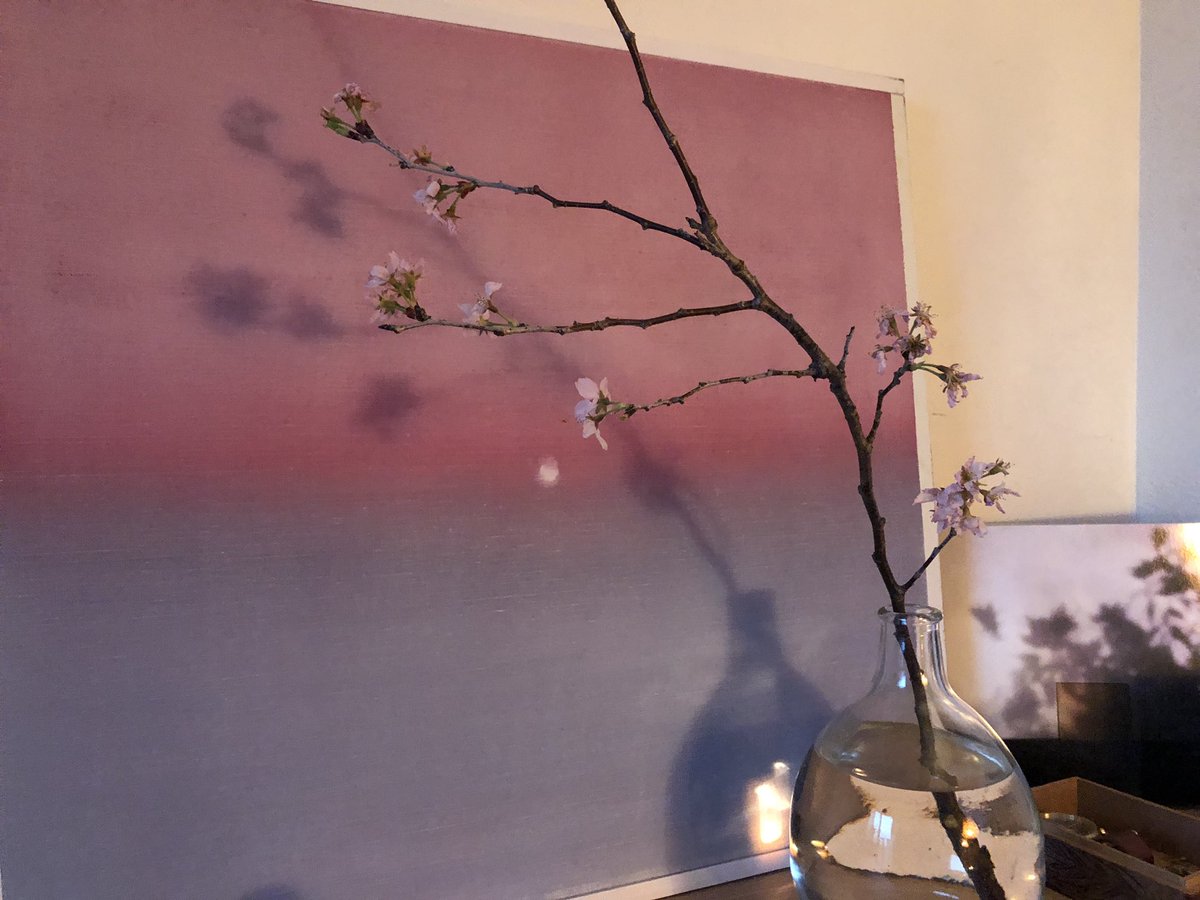 那須 凜 今日は家の中で 花見で一杯月見で一杯 かんぱーい 那須 凜 今日は家の中で 花見で一杯月見で一杯 かんぱーい