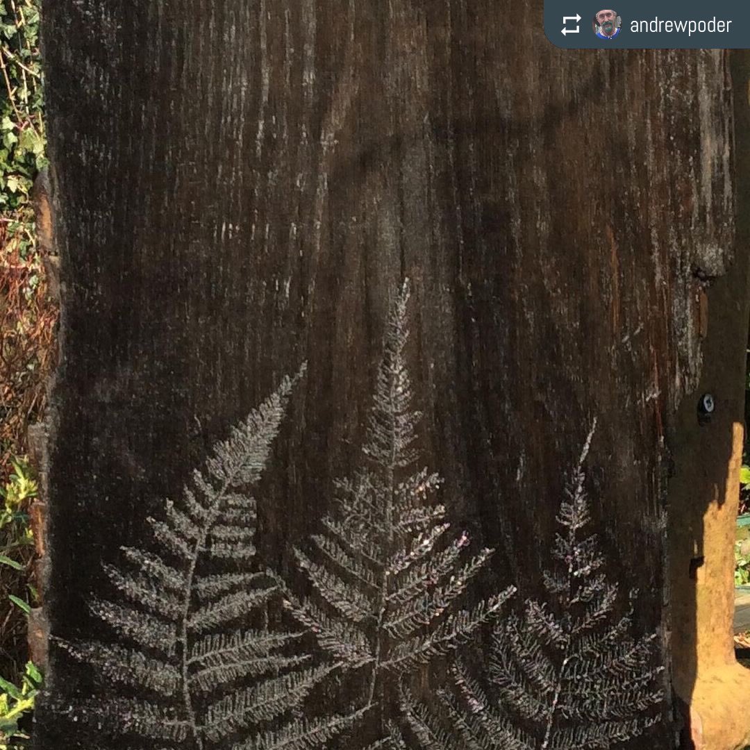 TheSussexGuild's tweet photo. News flash.... bog oak man found in trunk... 😮😁
#WorkinProgress from @AndrewPoder 
‘Bog oak man’ emerging from a 5,000 year old trunk of #Norfolkbogoak
Final oiling for ‘bog oak man’ with ferns on the back #wednesdayworks #workofwednesday #wip #workinprogress https://t.co/TJ49thbcvV