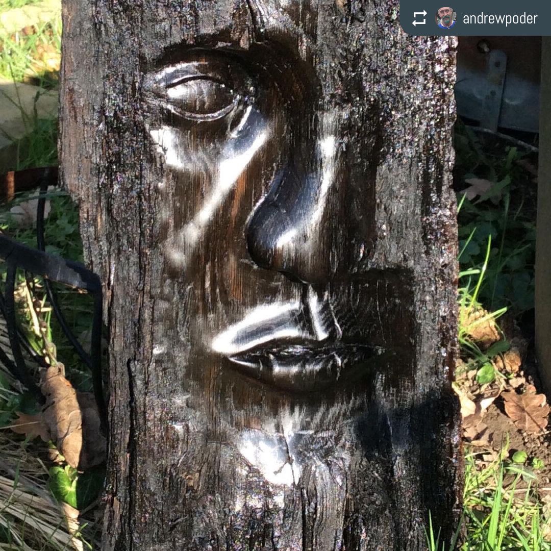 TheSussexGuild's tweet photo. News flash.... bog oak man found in trunk... 😮😁
#WorkinProgress from @AndrewPoder 
‘Bog oak man’ emerging from a 5,000 year old trunk of #Norfolkbogoak
Final oiling for ‘bog oak man’ with ferns on the back #wednesdayworks #workofwednesday #wip #workinprogress https://t.co/TJ49thbcvV