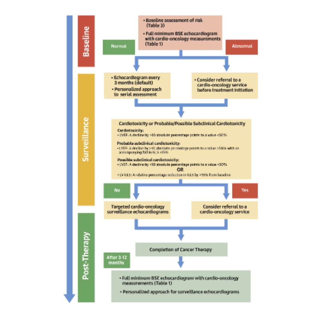 🚨 NEW GUIDELINE 🚨

We're delighted to announce the publication of our new cardio-oncology guideline - find out more here: ow.ly/1rrE30rAUoe