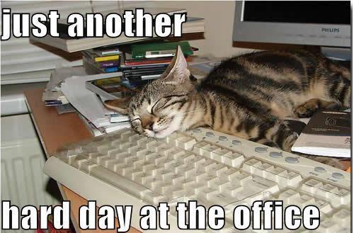 STEC Games Lab TO tweet media