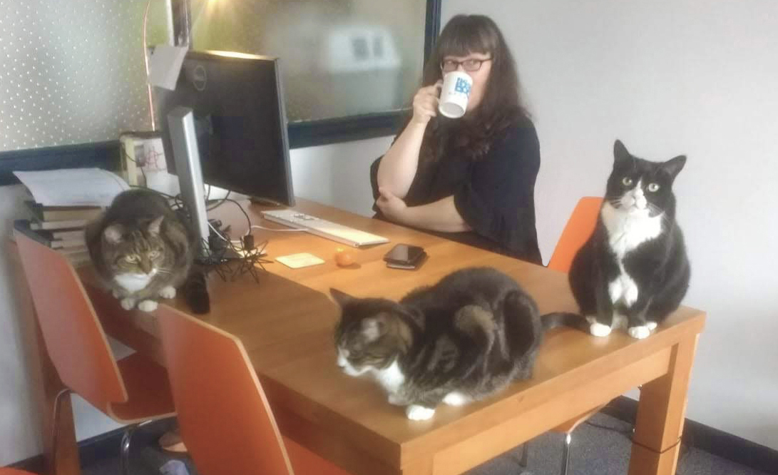 janegravity tweet media