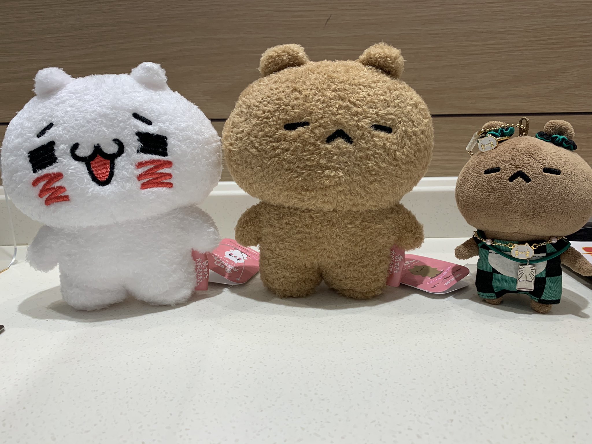 ♥愛しすぎて大好きすぎる♥ もちもちクッション にゃんこ＆くまペア