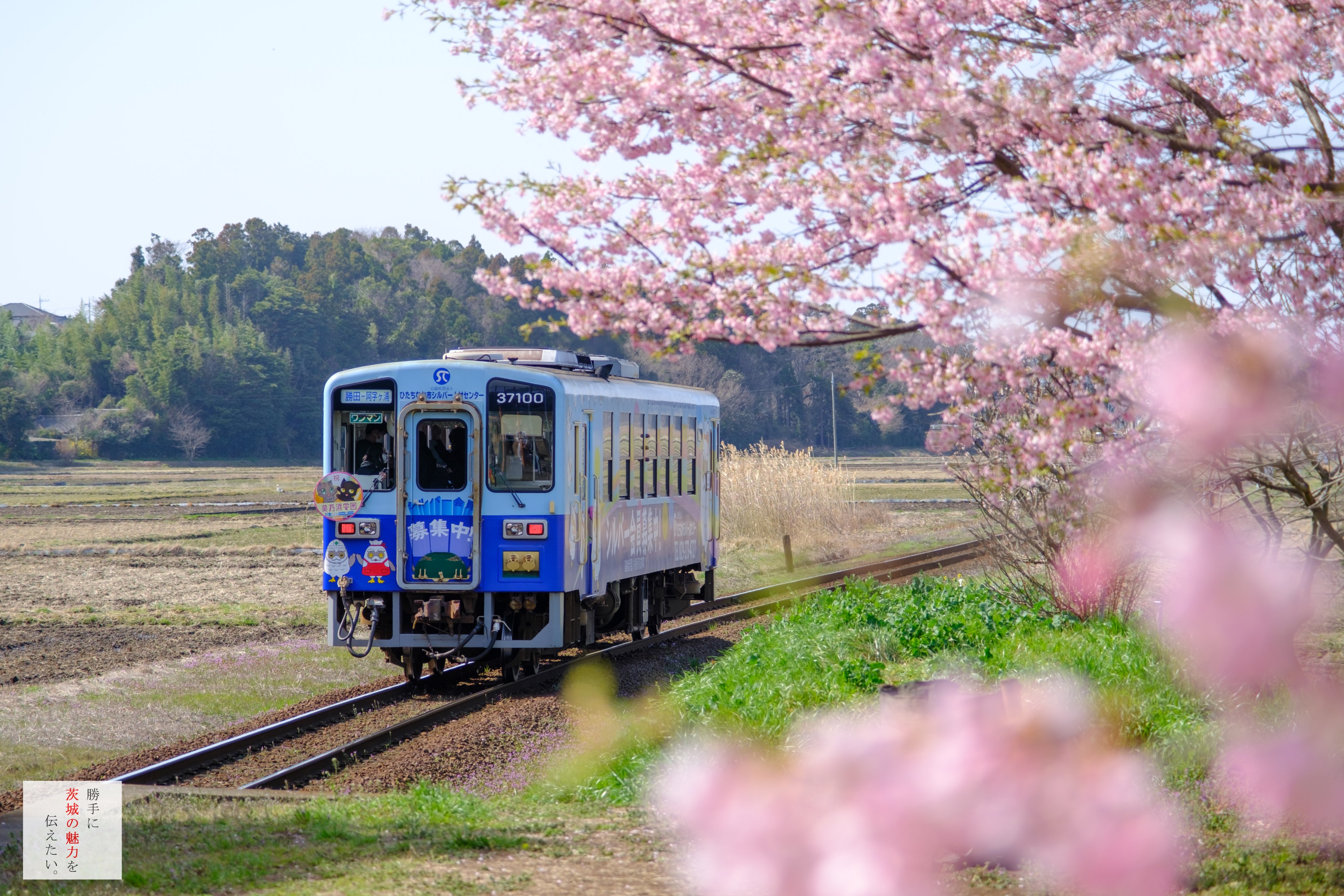 中根駅 Twitter Search Twitter