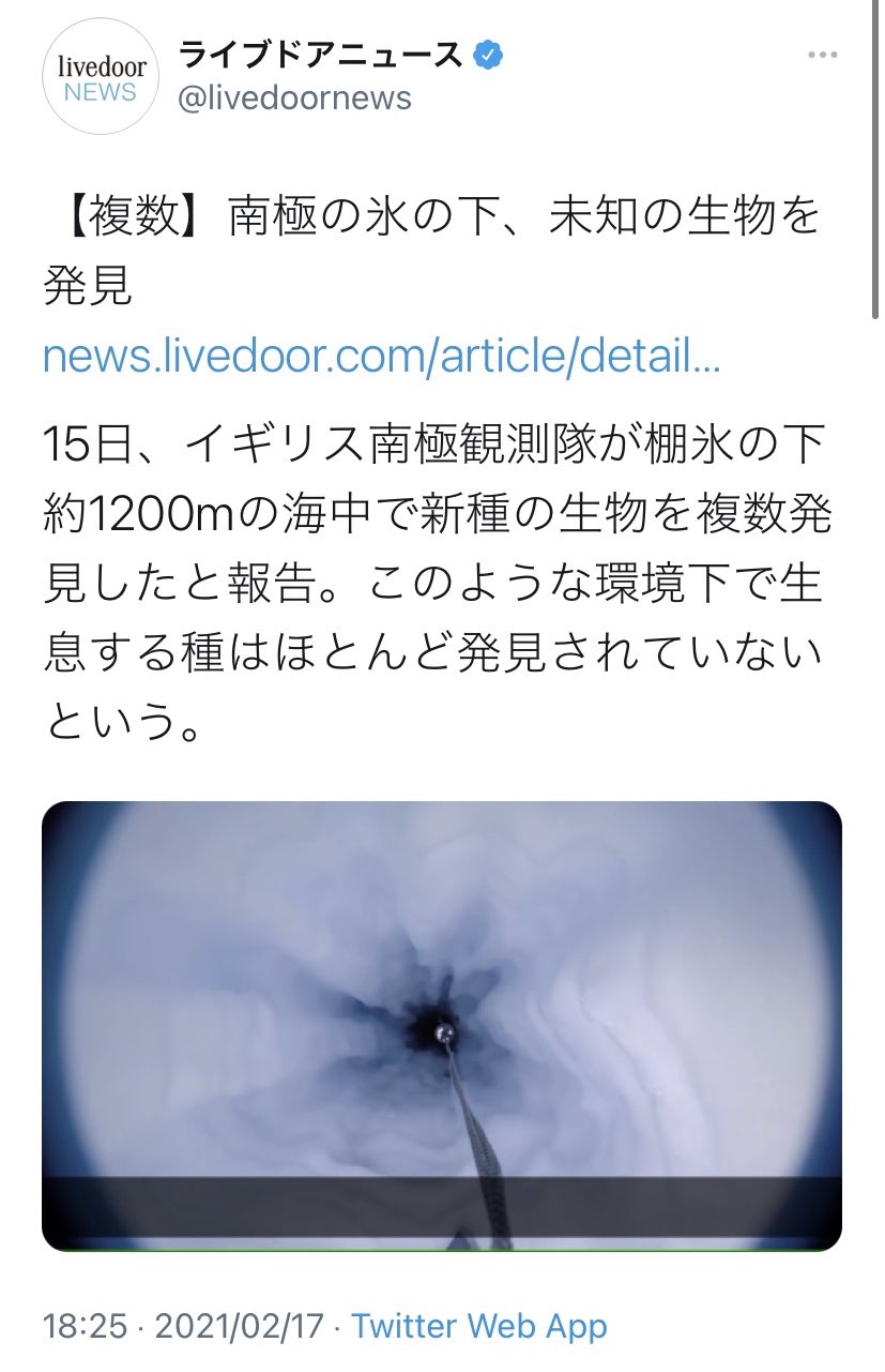 クールビズハンター これはもうそういうことでしょ ゼーレのシナリオ通り エヴァンゲリオン T Co Kfozlpjruv Twitter