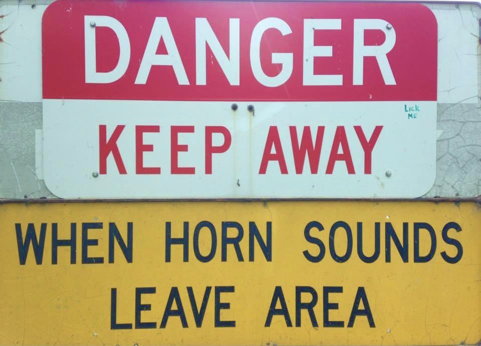 sarahwillis's tweet photo. Would you agree....? #hornpower https://t.co/LDdT7DXHHV