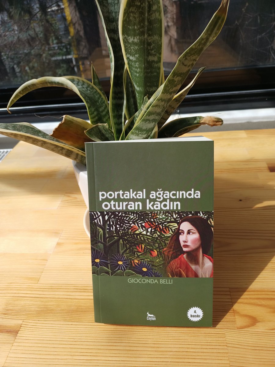 "Lavinia'nın mücadelesi artık bütün kadınların özgürlüğünün ve eşitliğinin mücadelesidir. Kadınlığı için açtığı savaşı ülkesini istila eden İspanyollara karşı da sürdürür. Çünkü kendi özgürlüğü ülkesinin de özgürlügüdür." Gioconda Belli çev: Şebnem Sunar