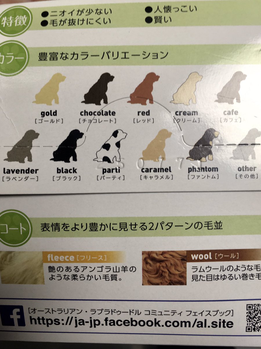 チョコレート ゴールデンドゥードル ラブラドゥードル 犬種 防水ビニールステッカー | かわいいちび動物アートデカール | かわいい漫画の子犬  ペットメモリアルギフト - Etsy 日本, image size:900x1200