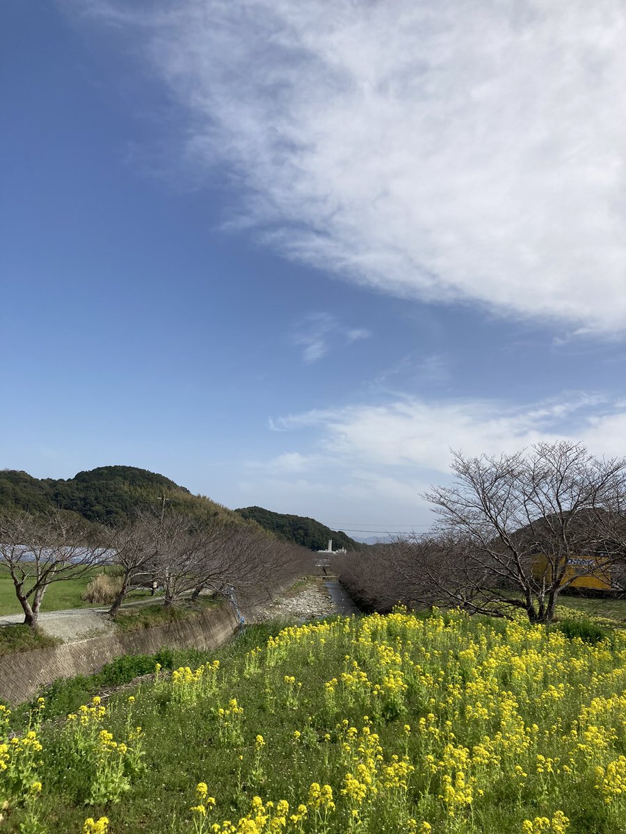 長崎市琴海地域センター 今年の琴海花 まつりは新型コロナウイルス感染拡大防止のため中止となりました ただ戸根川沿いの桜は本当に綺麗です 今日の桜はこんな感じです 下流はまだまだですが上流では一分咲きってトコです