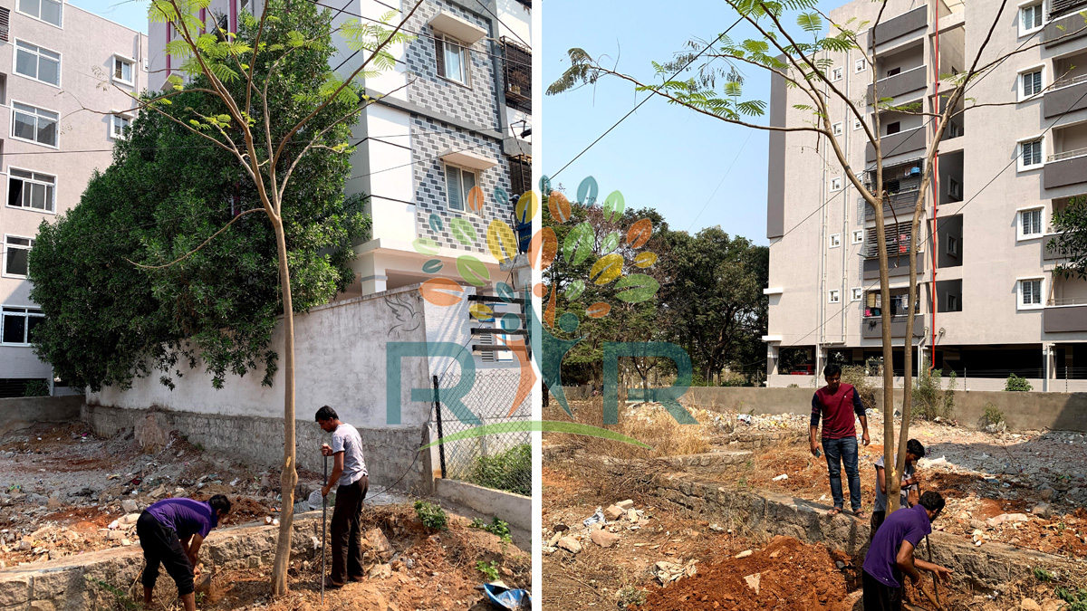 rar_trust's tweet photo. Safely Translocated 15ft Gulmohar #tree @ Hyderabad
#saveearth #SaveThePlanet #charity #ngo #earth #ecosystems #wednesday #wednesdaythought #wednesdaymotivation #wednesdaymorning #life #gogreen #news #treeTranslocation #climatechange #globalwarming #trending #GreenIndiaChallenge https://t.co/52rIZtebXw