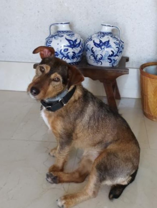 Valdefuentes22 tweet media