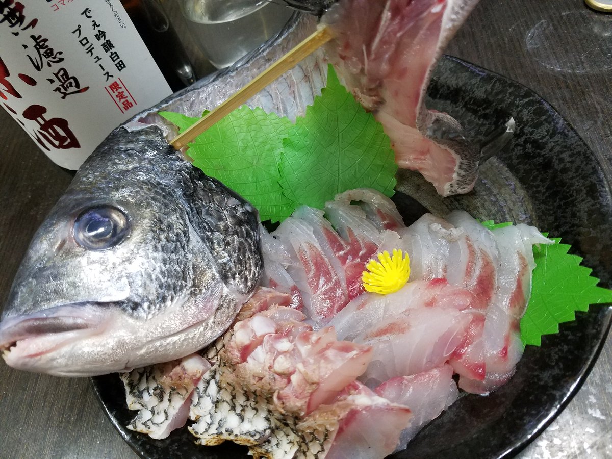でぇ吟醸白田 黒鯛の姿造り 真鯛の刺身より黒鯛の方が味が濃いような気がする 真鯛もうまいが黒鯛もコクがあってお酒すすむぅー 呑めるねぇー 本日時30分よりshowroomでおつまみを作ります よろしければ是非とも 黒鯛 刺身 おつまみ