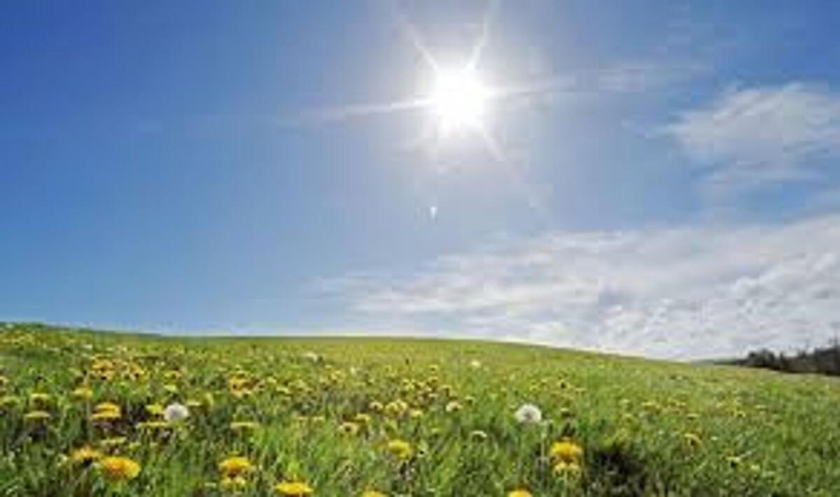 SQUASH-FIT (@squash_fit) on Twitter photo Hump Day & Sunny Day is a good day Hump Day & Sunny Day is a good day