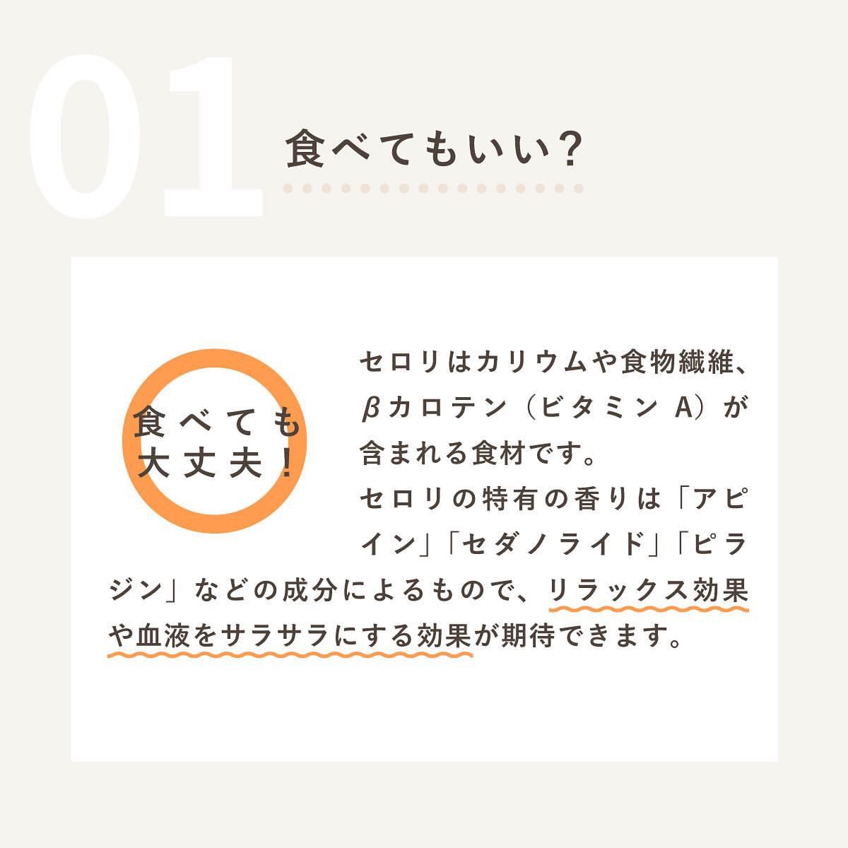 ペトコトフーズ 人も食べられるフレッシュドッグフード 犬はセロリを食べてもいい 続き ペトコトフーズ 人も食べられるフレッシュドッグフード 犬はセロリを食べてもいい 続き
