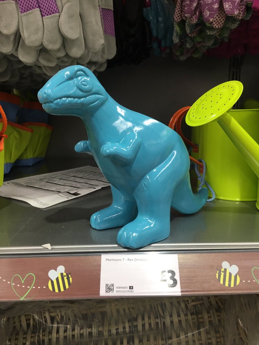 Dinosaur Planter Morrisons Garden Plant