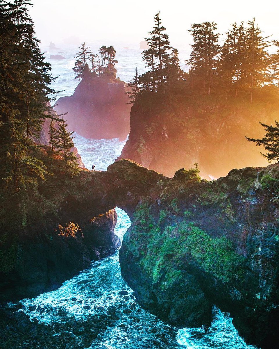 Our WildBounds ‘shot of the week’ is this beauty by the super-talented <a href="/TimKemple/">Tim Kemple</a> - setting sun lighting up mist from heavy surf in Samuel H Boardman State Scenic Corridor 
•
#StayBoundless