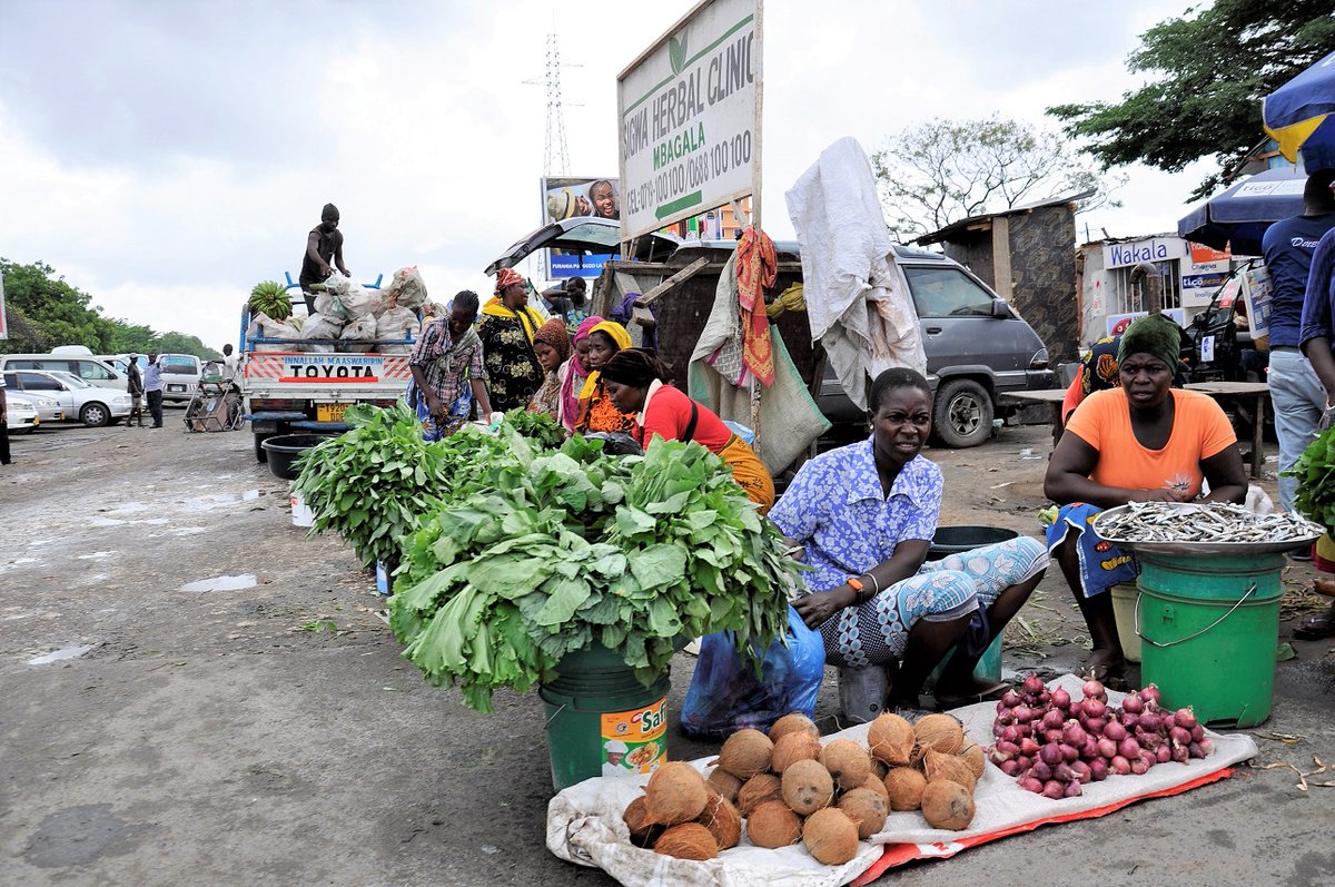 #Tanzania ##InclusiveGrowth 

#Facts 4… Many nonpoor households are clustered just above the poverty line and are vulnerable to falling into poverty in the event of a shock: wrld.bg/BWJx50DYPU9 
#TanzaniaEconomicUpdate