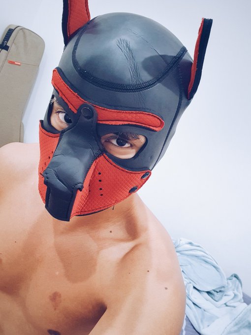 Pup's first hood ever, all worn but still good :3 ?? #bdsm #kink #fetish #puppyplay #pupplay #petplay