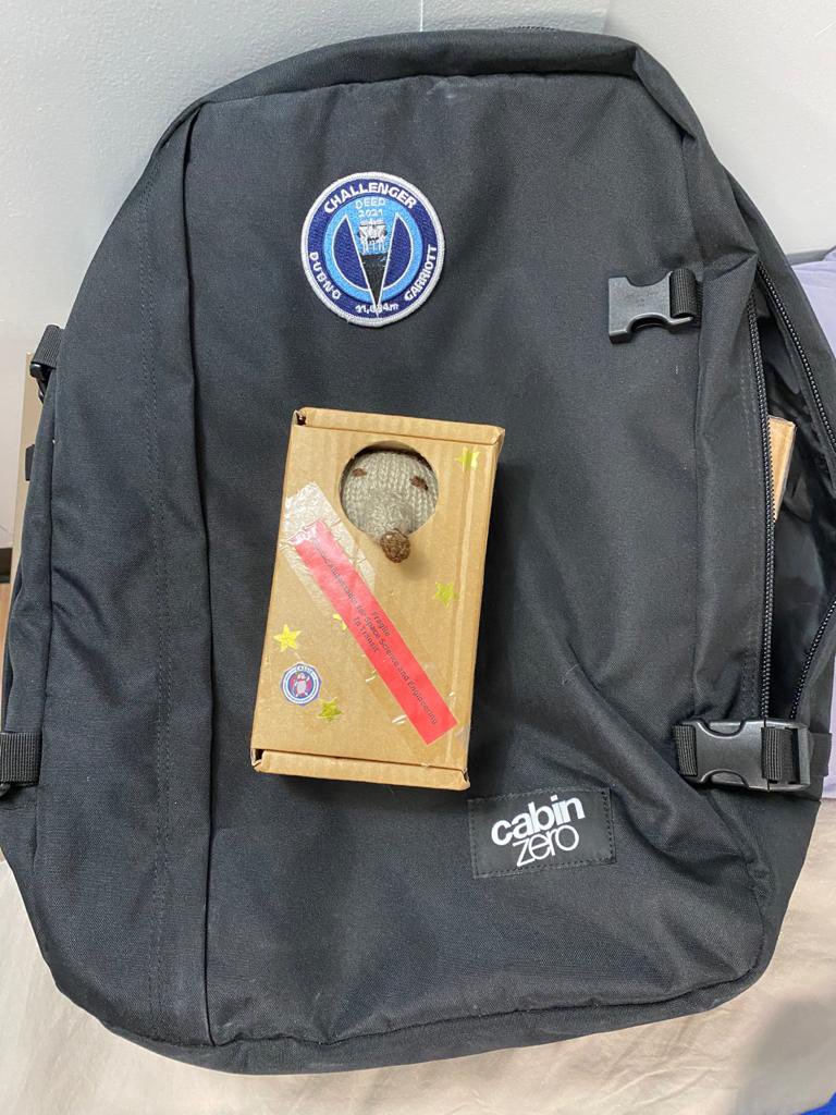SpaceMascotUK's tweet photo. News from @RichardGarriott #MiniCASSiE and her #ChallengerDeep cup are on their way home after a #VentureToTheDeep adventure. https://t.co/JE3lOM6R2d