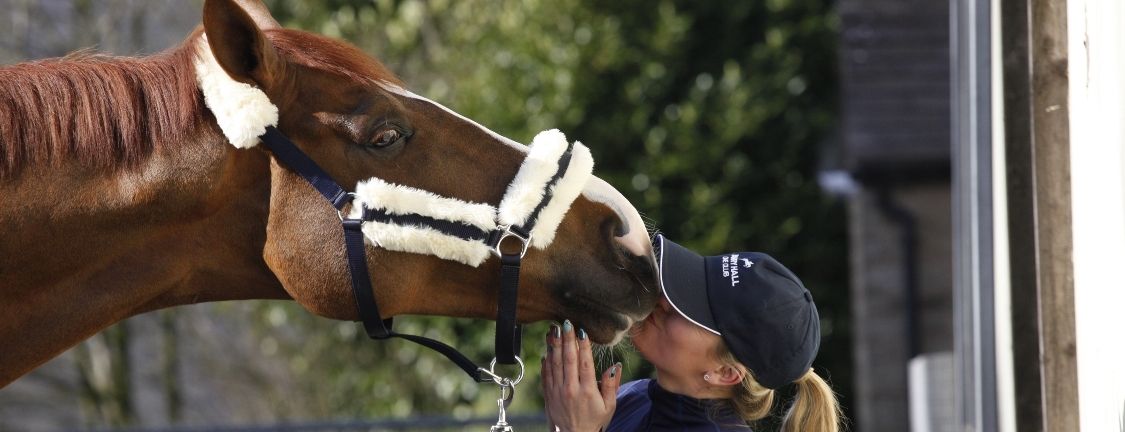 HarryHallRiding's tweet photo. We caught up with Rebecca Evans from @RHorseRHome to get her take on the current state of the Equine market in the UK - a thought-provoking five-minute read - https://t.co/0YLmNCnlQN #HarryHall #EquestrianAdvice #Equestrianblog #HorseHour https://t.co/4ouPXiJMKs