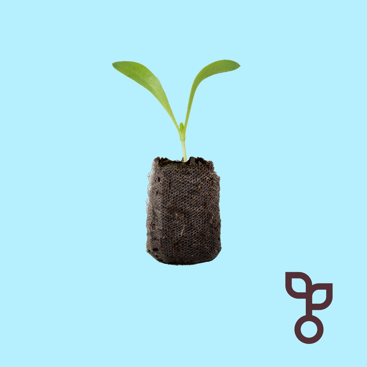 Our reliable growing process and ability to grow to order means that, come time to harvest, almost none of our produce is wasted!

#food #health #wellness #recipes #ingredients #london #shoplocal #verticalfarming #sustainability