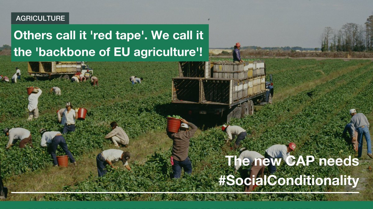 🔟million people are employed in 🇪🇺 #agriculture, mainly as seasonal workers, day labourers or in other #insecure statuses. Coalition of >💯organisations demand #social #conditionality & #justice to become part of the #CommonAgriculturalPolicy #CAP #SDGs arc2020.eu/cap-reform-bro…