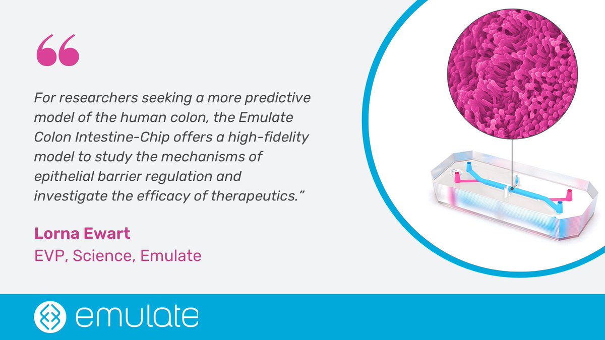 Today we launched the Colon Intestine-Chip, enabling researchers to gain a greater understanding of mechanisms of colon inflammation and investigate potential drug targets. #OrganChip #OrgansonChips #IBD #drugdiscovery 
emulatebio.com/press/emulate-…