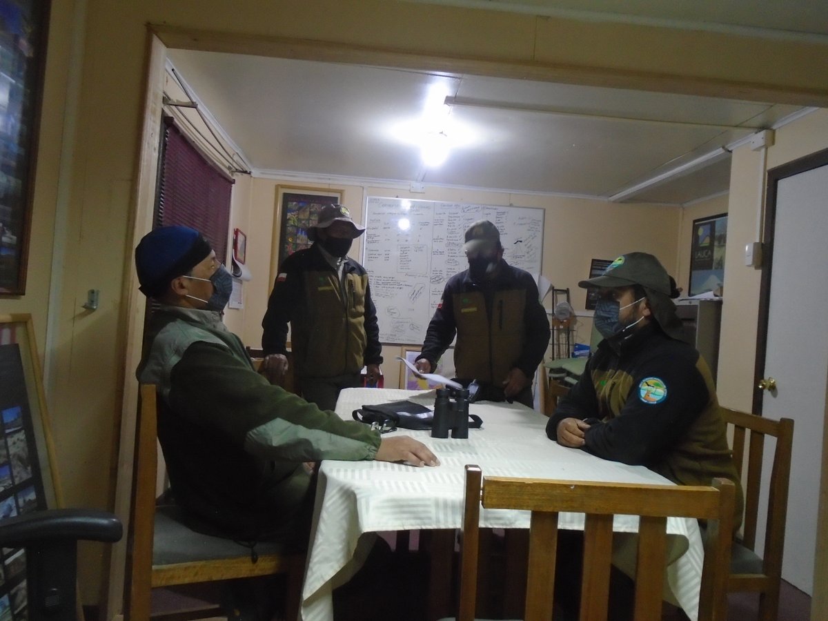 conaf_minagri's tweet photo. #CONAFAricayParinacota | Tras la coordinación inicial para los recorridos dentro de la Reserva de Biosfera Lauca, #guardaparques iniciaron su labor para lograr estimación poblacional de la #taruca, el huemul del norte. 📸Aquí dos de ellas captadas a las orillas de Putre. https://t.co/T8c90ICZ0H